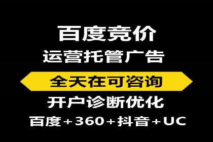 某知名品牌SEM运营策略及效果评估